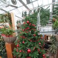 IMG_853381