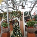 IMG_853382