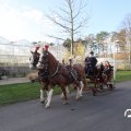 IMG_853386