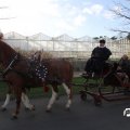 IMG_853387