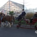 IMG_853388