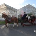 IMG_853390
