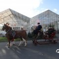 IMG_853391