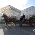 IMG_853392