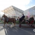 IMG_853393