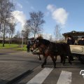IMG_853398