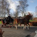IMG_853406