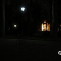 IMG_853539