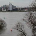 IMG_853553