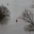IMG_853554