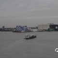 IMG_853596