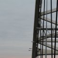 IMG_853654