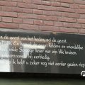 IMG_857446