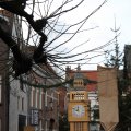 IMG_857517