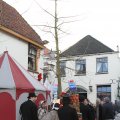 IMG_857556