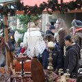 IMG_857557