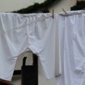 IMG_857558