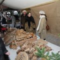 IMG_857622