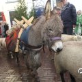 IMG_857681
