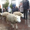 IMG_857684