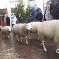 IMG_857685