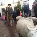 IMG_857688