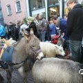 IMG_858179