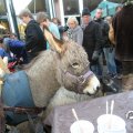 IMG_858181