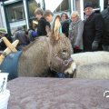 IMG_858182
