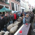 IMG_858184