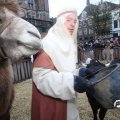 IMG_858211