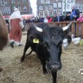 IMG_858213