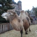IMG_858220