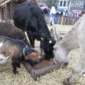 IMG_858222