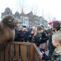 IMG_858231