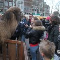 IMG_858233