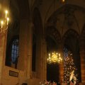 IMG_858255
