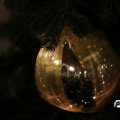 IMG_859207