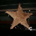 IMG_859876