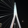Erasmusbrug by night 1