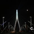 Erasmusbrug by night 3