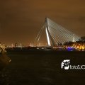 IMG_231586