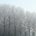 IMG_862685