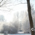 IMG_862687