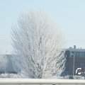 IMG_862690