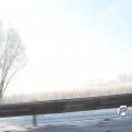 IMG_862695