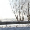 IMG_862696