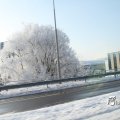 IMG_862702