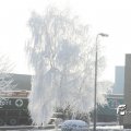 IMG_862704