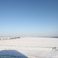 IMG_863010